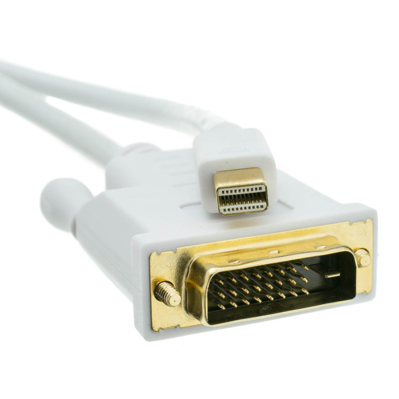 CABLE MINI DISPLAYER-DVI
